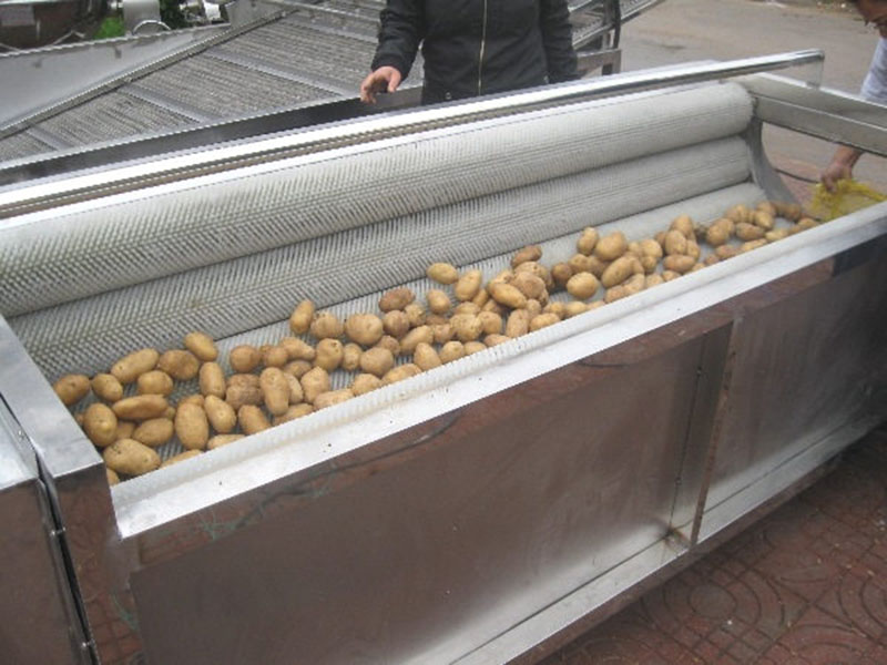 土豆、紅薯清洗去皮機