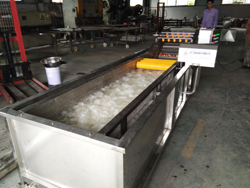 芒果氣泡清洗機